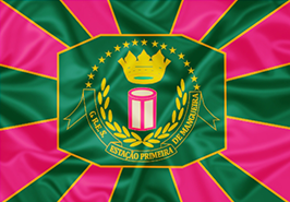 Bandeira da Mangueira