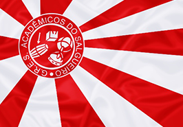 Bandeira da Salgueiro
