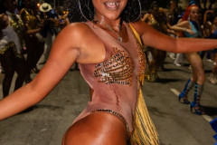 f12973824_impressao